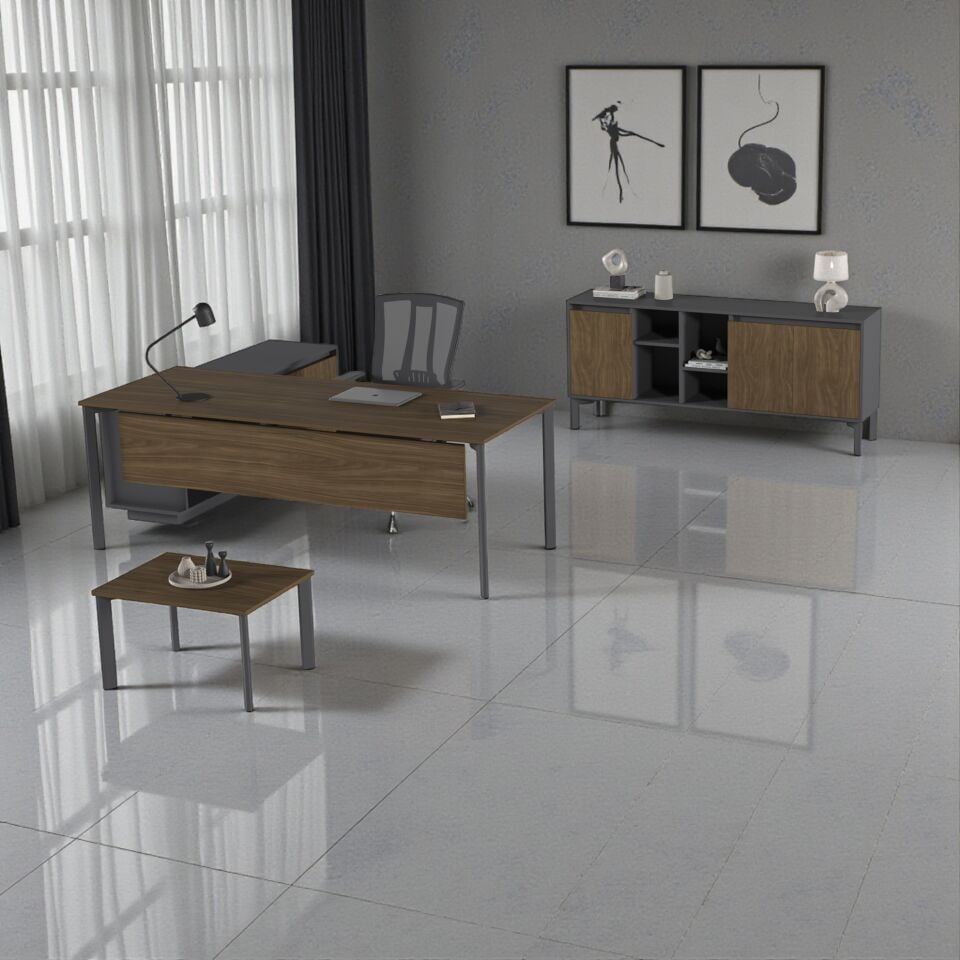 Vega Yönetici Takımı