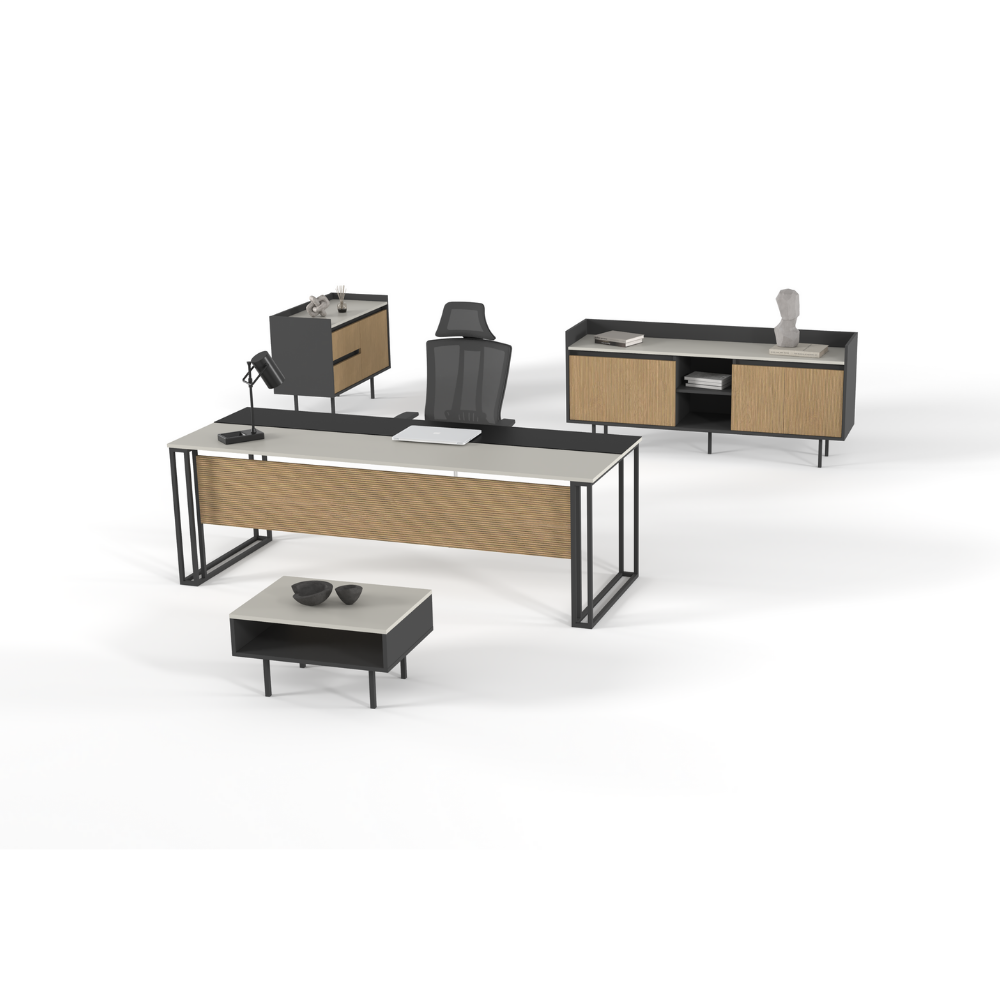 Viena Ara Yönetici Takımı