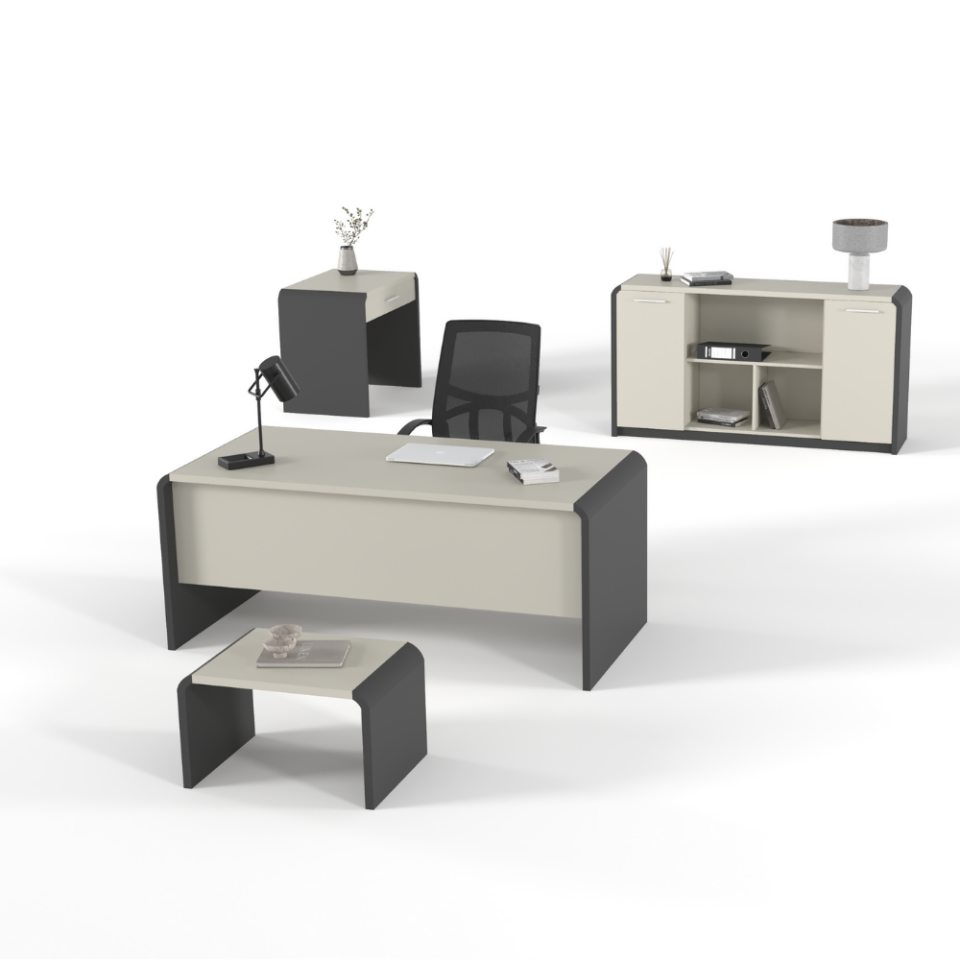 Venüs Ara Yönetici Takımı