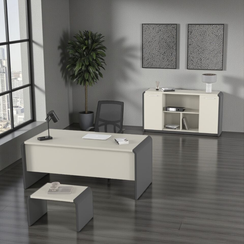 Venüs Ara Yönetici Takımı