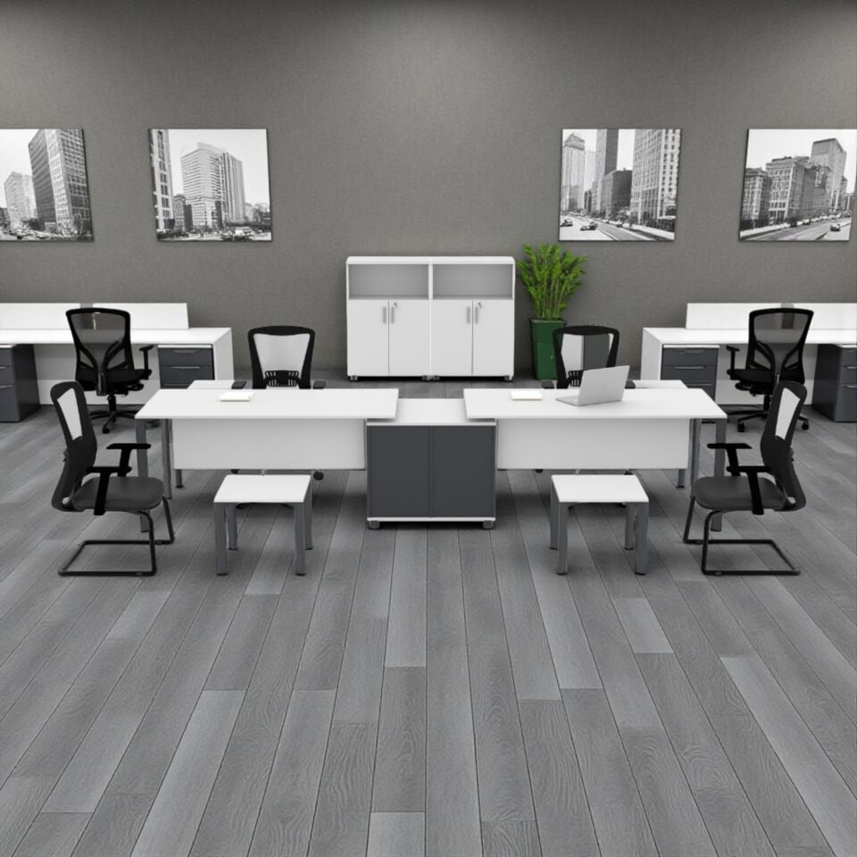 Penta İkili Modül Workstation