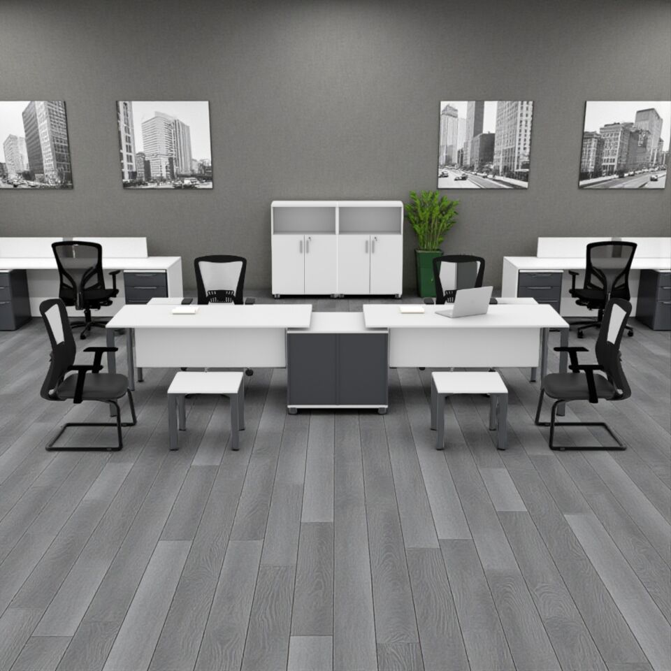 Penta İkili Modül Workstation