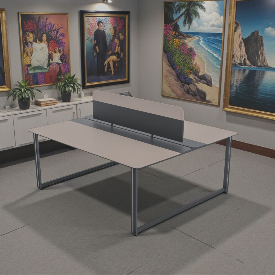 Zelve İkili Workstation