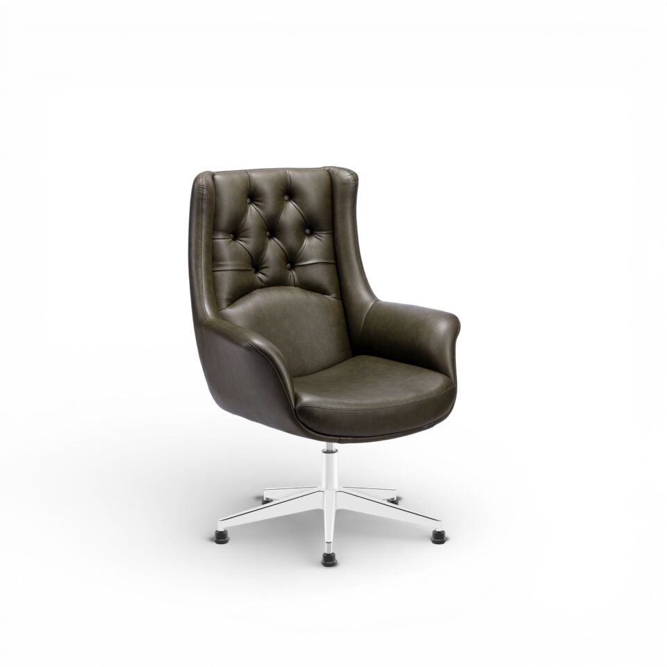 Pars Plus Misafir Koltuğu (Yıldız Ayak)