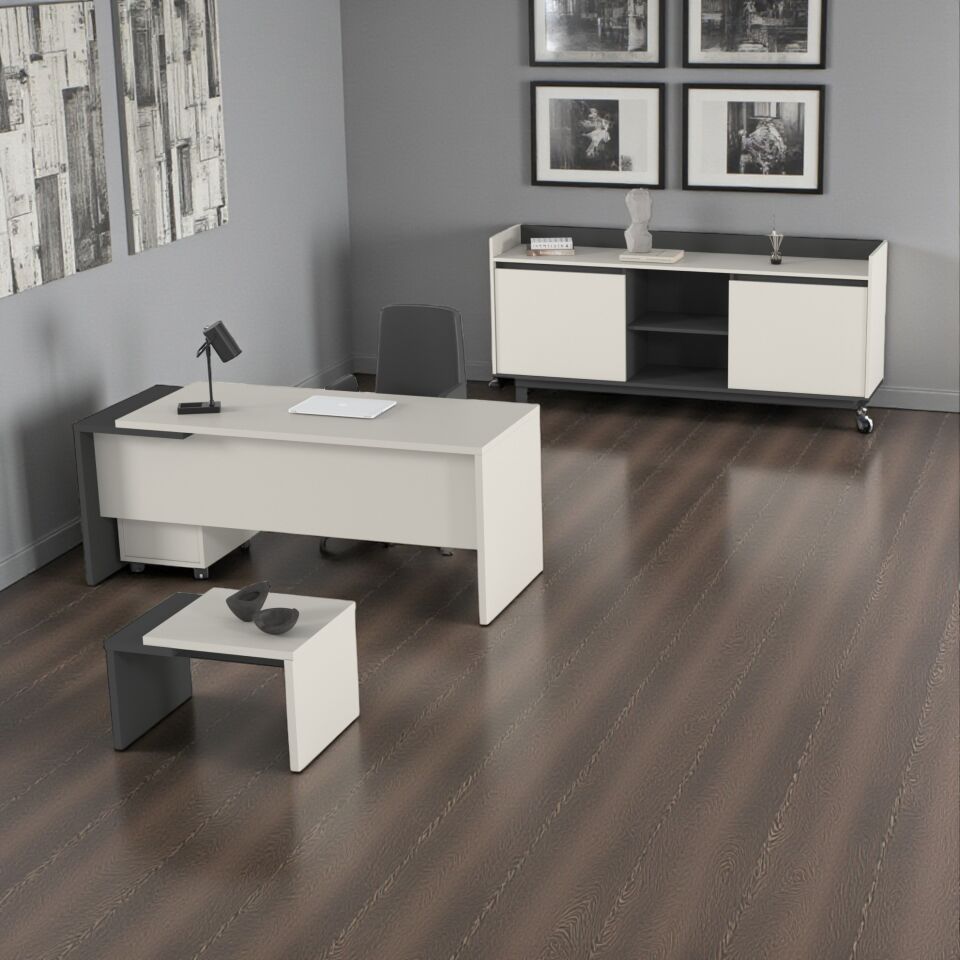 Sude Ara Yönetici Takımı