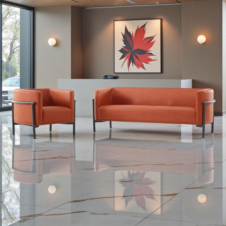 Wings Kanepe Takımı