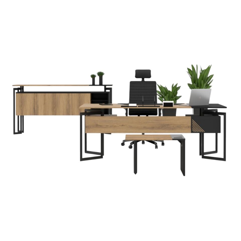 Lex Ara Yönetici Takımı