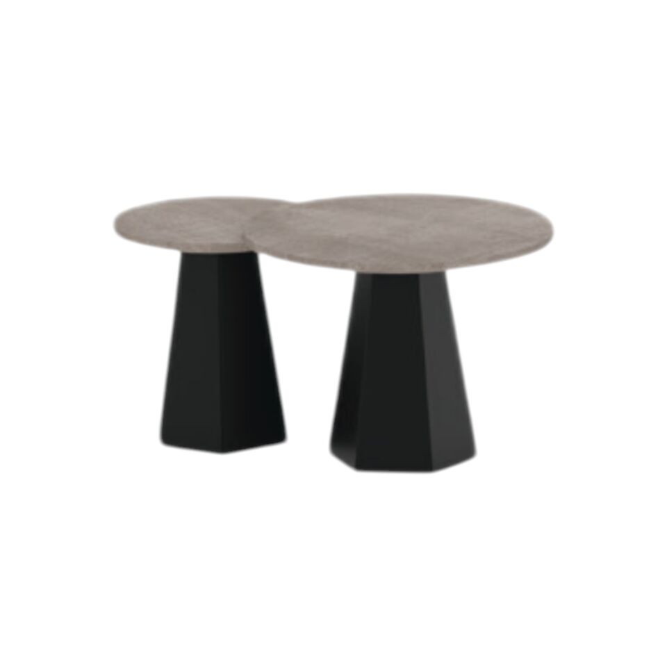 Twin Ara Yönetici Takımı