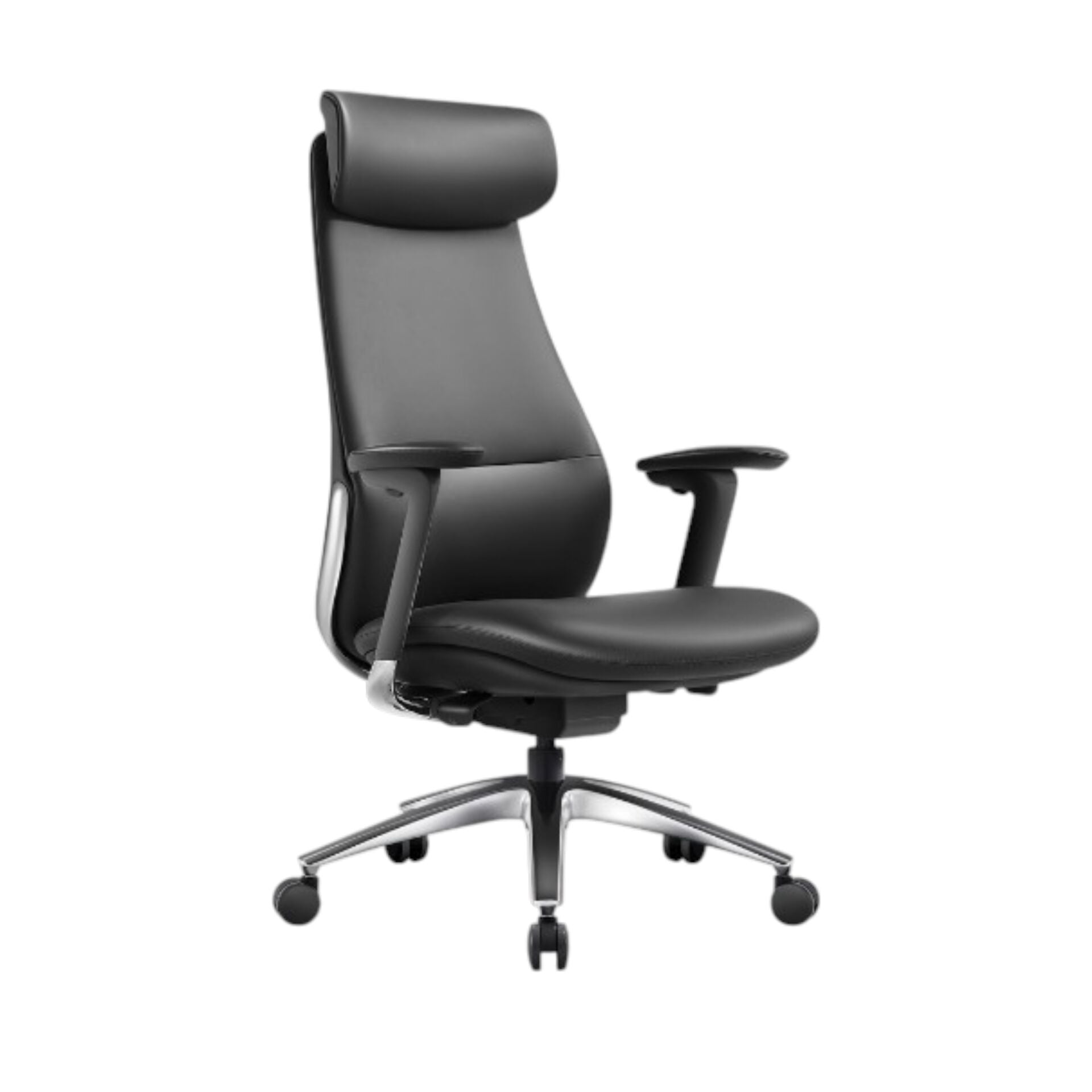 Padova Yönetici Koltuğu