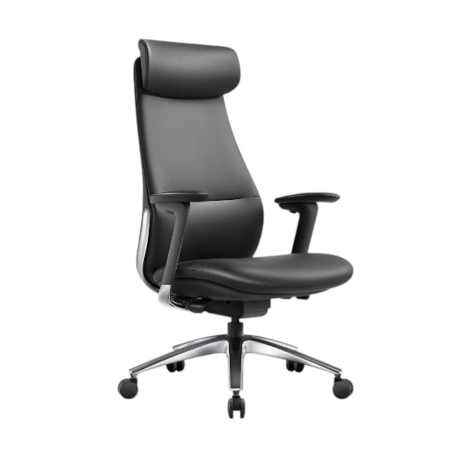 Padova Yönetici Koltuğu