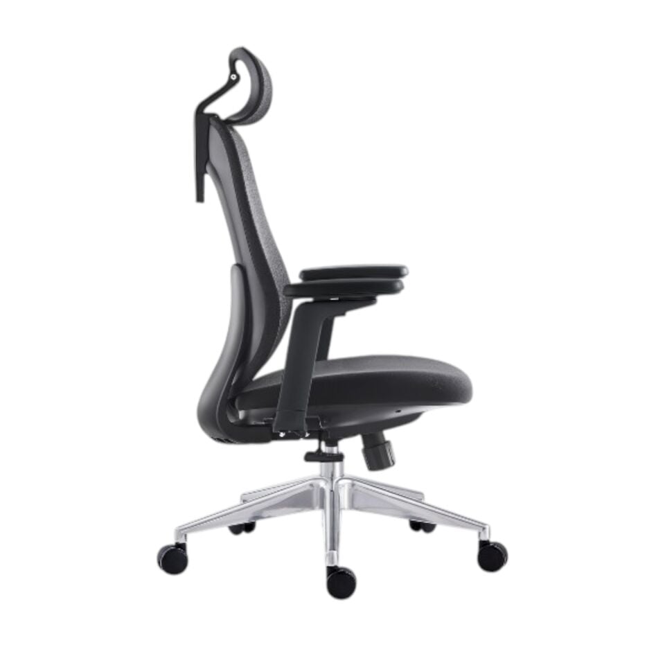 Padova Yönetici Koltuğu