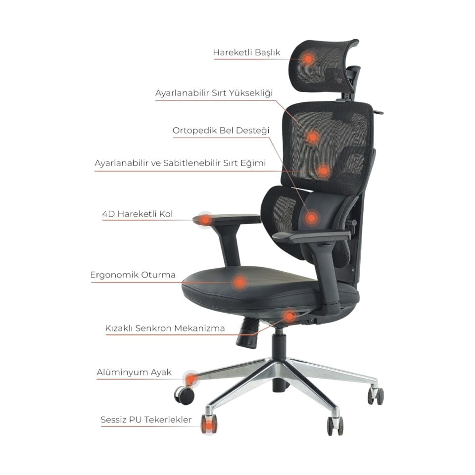 Venice Yönetici Koltuğu