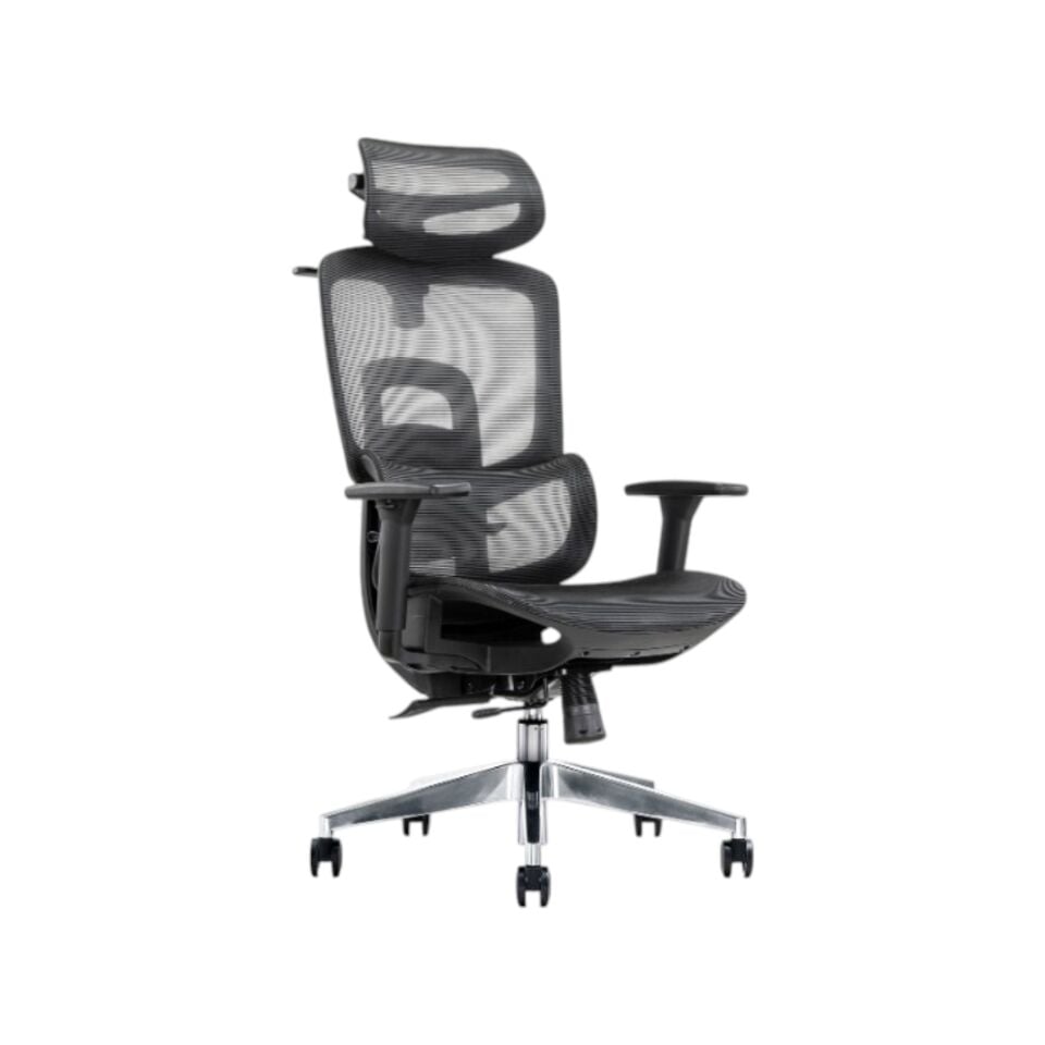 Genova Yönetici Koltuğu