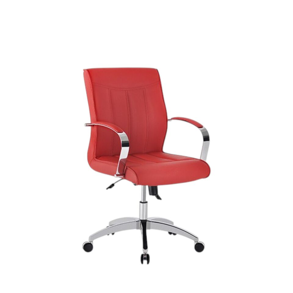 Salinas Çalışma Koltuğu