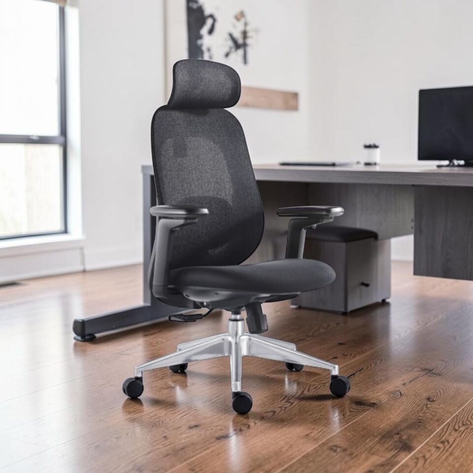 Rovigo Yönetici Koltuğu