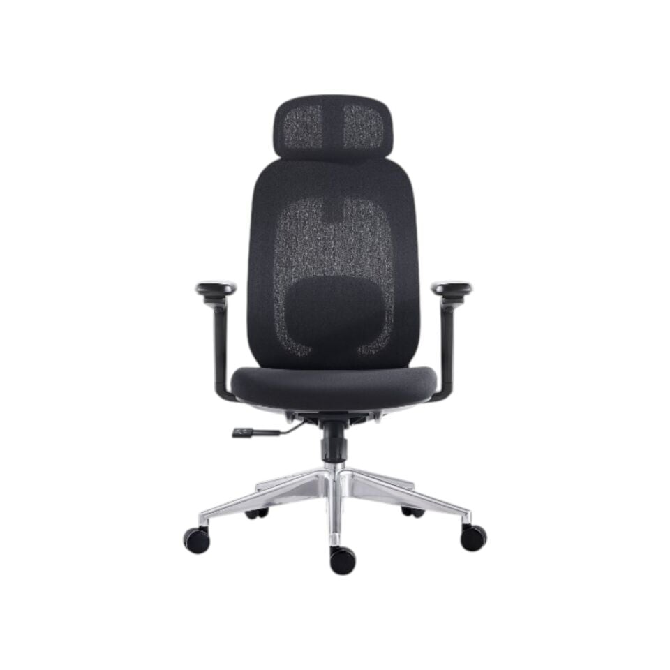 Rovigo Yönetici Koltuğu