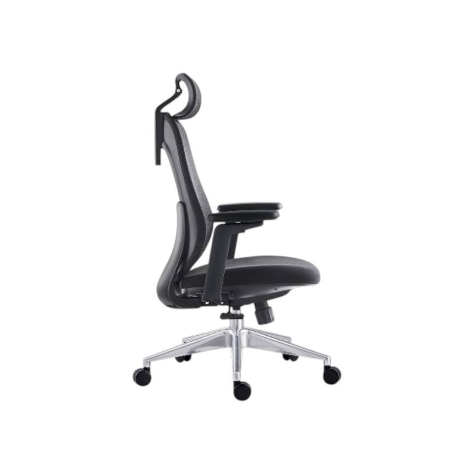 Rovigo Yönetici Koltuğu