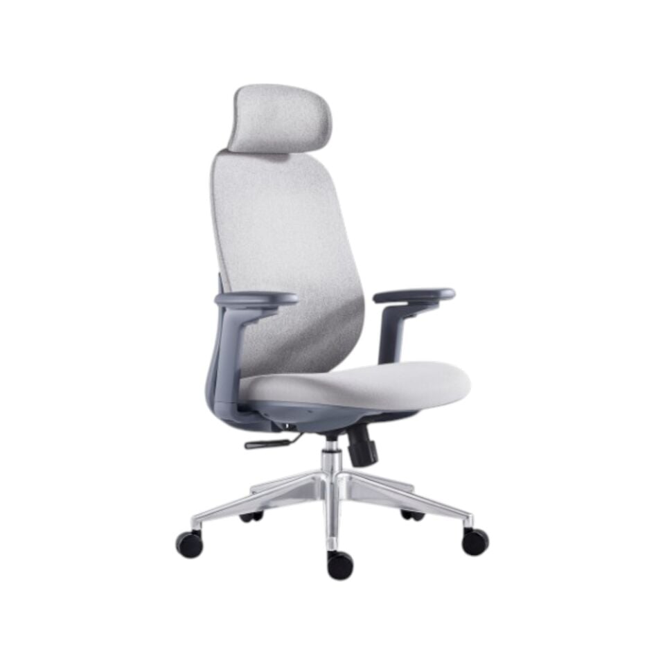 Rovigo Yönetici Koltuğu