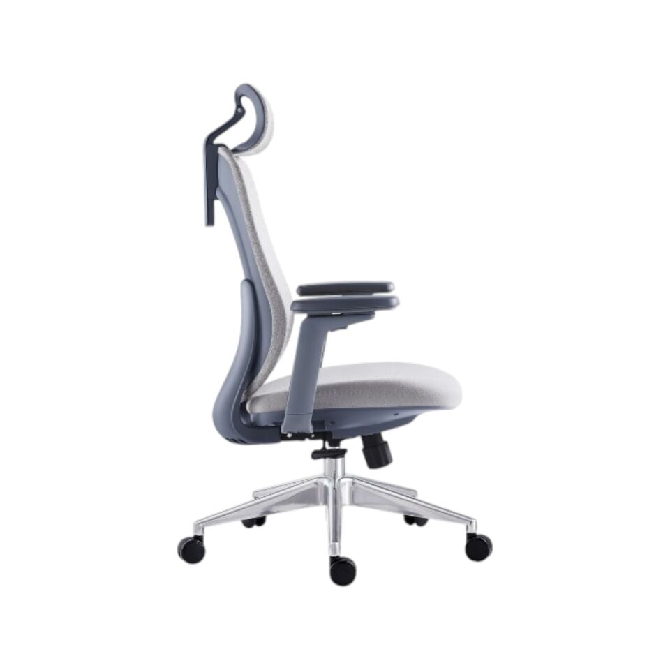 Rovigo Yönetici Koltuğu