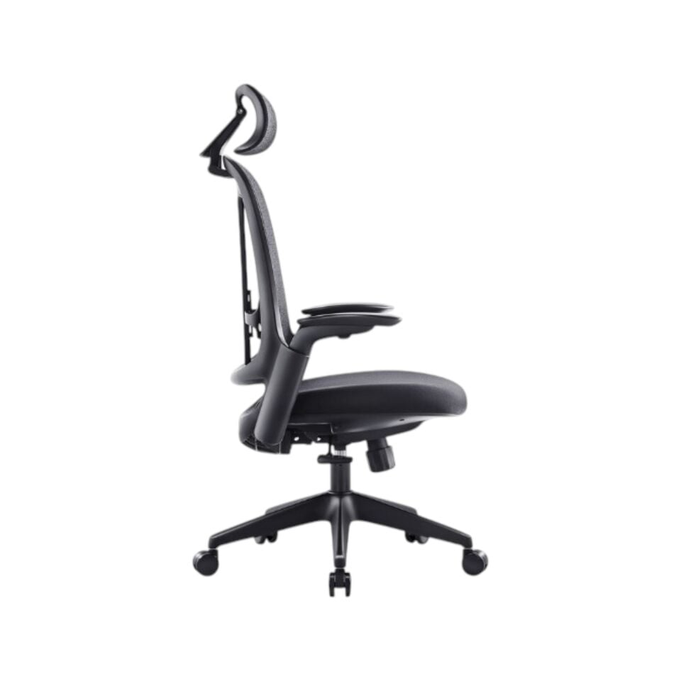 Verona Yönetici Koltuğu