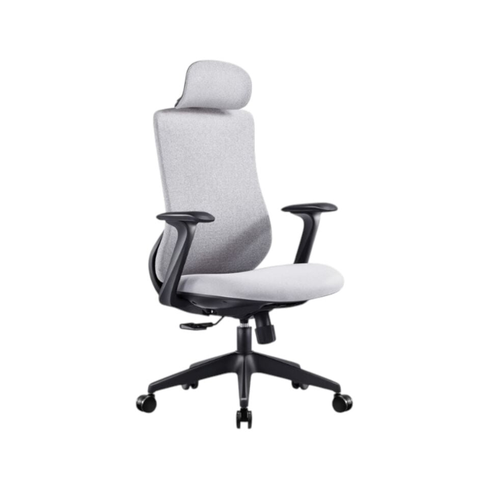 Lucca Yönetici Koltuğu