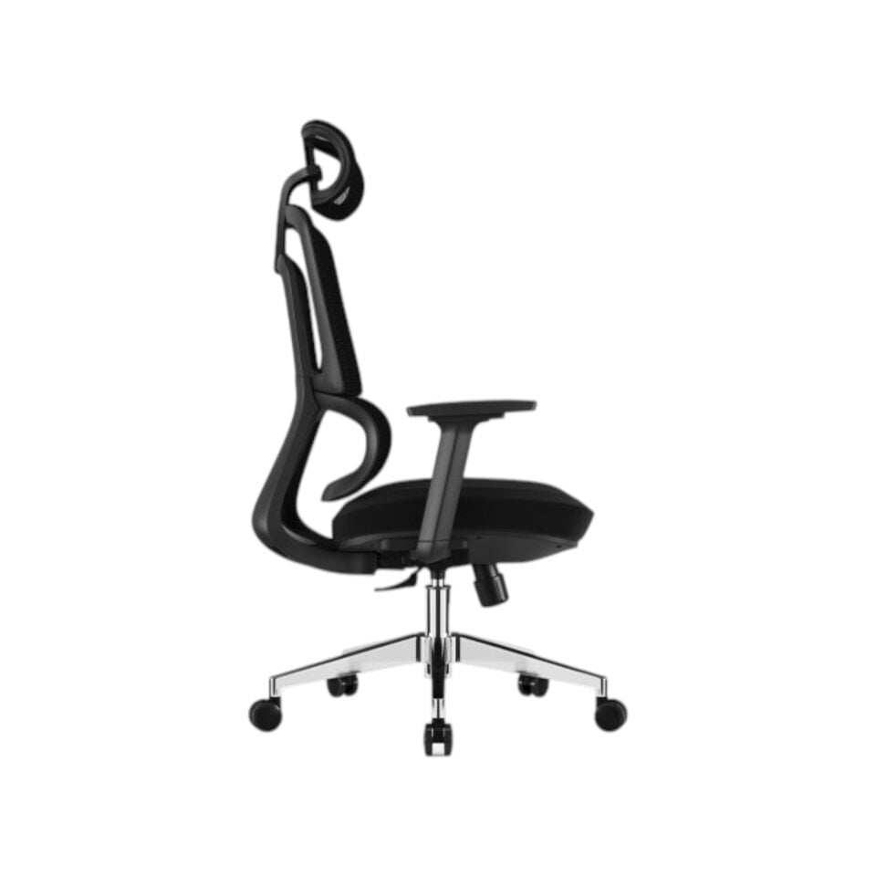 Lugano Yönetici Koltuğu