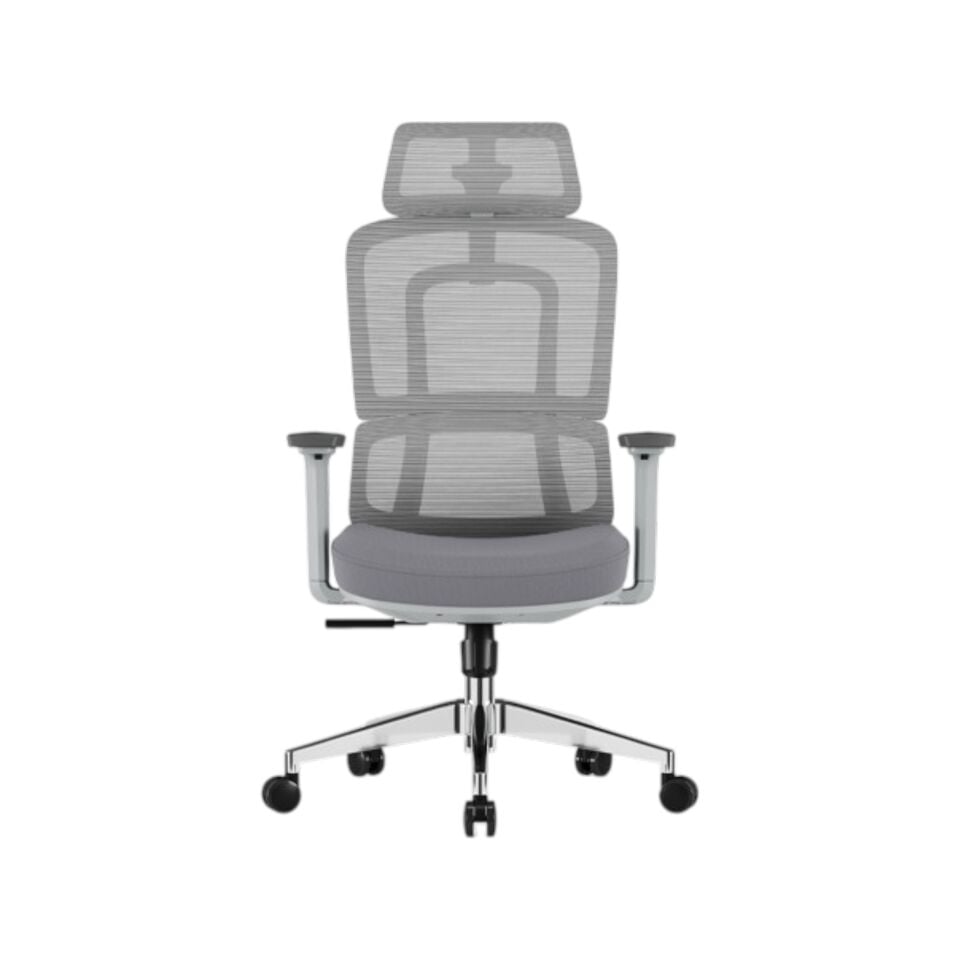 Lugano Yönetici Koltuğu