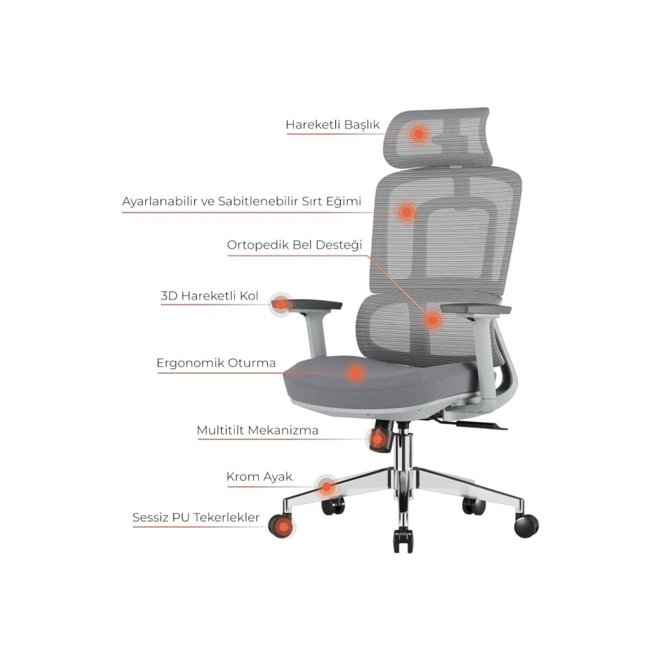 Lugano Yönetici Koltuğu