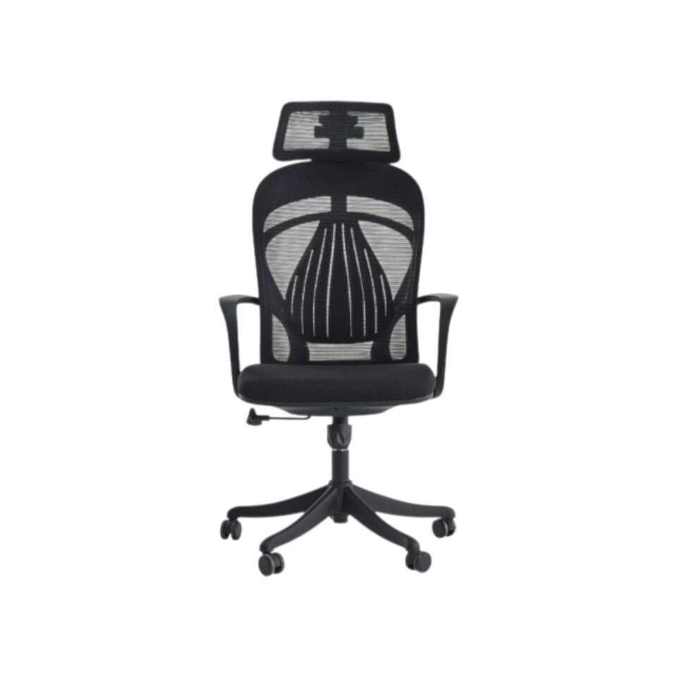 Mare Yönetici Koltuğu