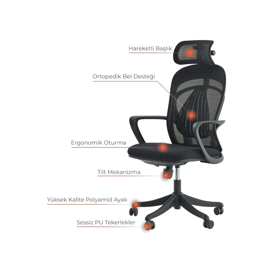 Mare Yönetici Koltuğu