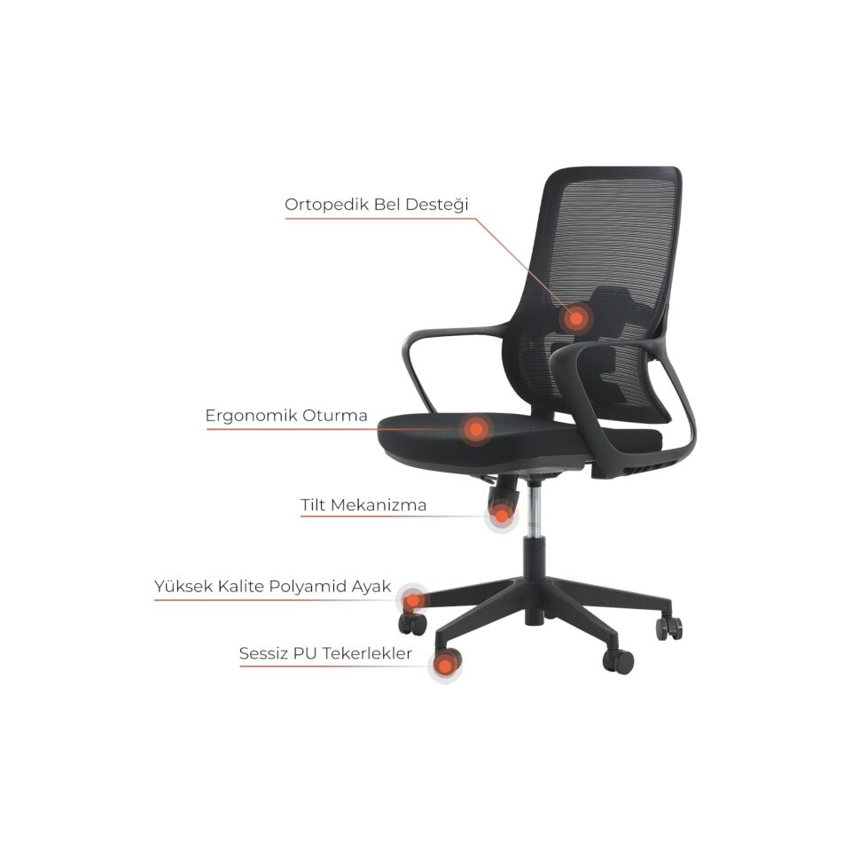 Rodi Çalışma Koltuğu